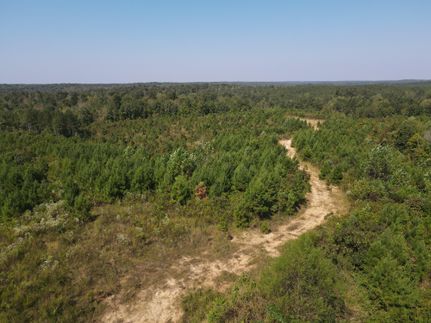 Undeveloped Land for sale in Decatur County, Tennessee