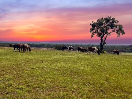 Timberland Property in Parker County, Texas