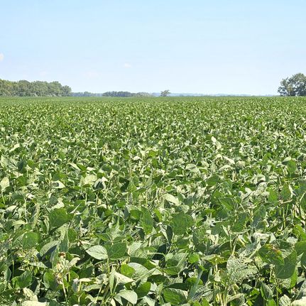 Farm and Ranch for sale in Steele County, North Dakota