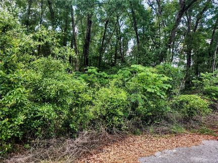Recreational Property for sale in Levy County, Florida