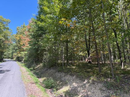 Recreational Property for sale in Chemung County, New York