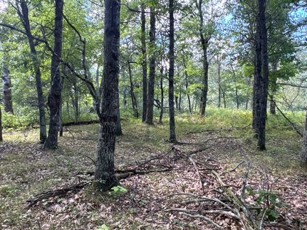 Undeveloped Land for sale in Burnett County, Wisconsin