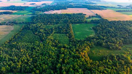 Farm and Ranch for sale in Clay County, Illinois