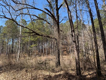 Timberland Property for sale in Lamar County, Alabama