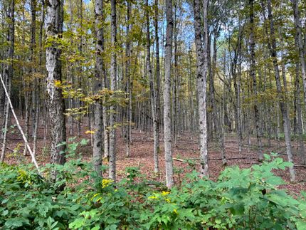 Hunting Property for sale in Chenango County, New York