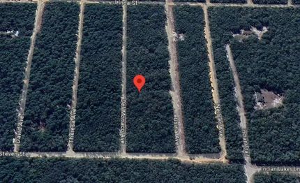Undeveloped Land for sale in Putnam County, Florida