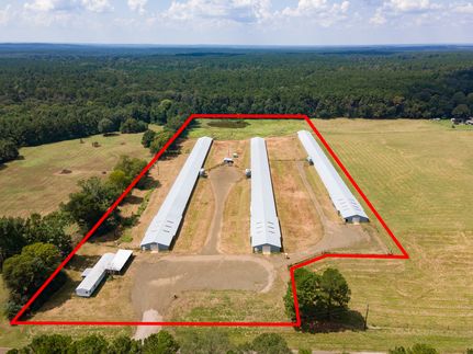 Timberland Property for sale in San Augustine County, Texas