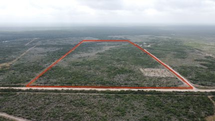 Land for sale in Jim Wells County, Texas