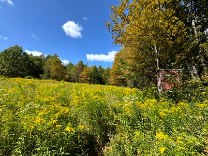 Recreational Property for sale in Chenango County, New York