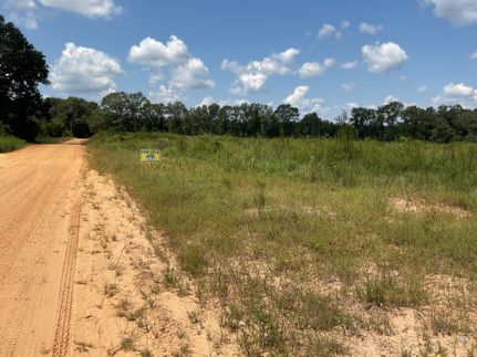 Land for sale in Crenshaw County, Alabama