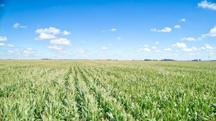 Farm and Ranch for sale in Dickinson County, Iowa