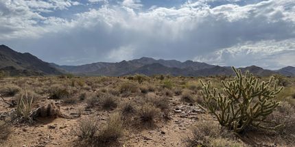Timberland Property for sale in Mohave County, Arizona