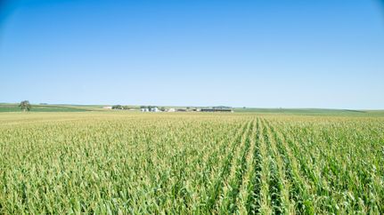 Land for sale in Cherokee County, Iowa