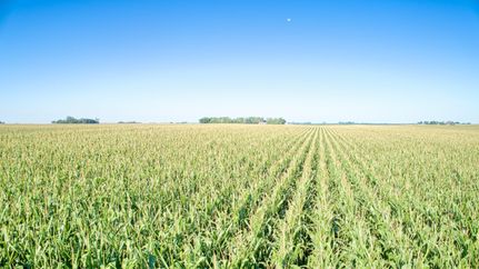 Undeveloped Land for sale in Franklin County, Iowa