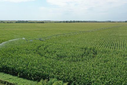 Undeveloped Land in York County, Nebraska