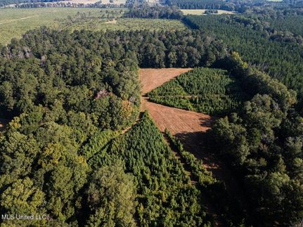 Recreational Property for sale in Amite County, Mississippi