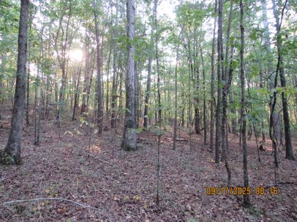 Hunting Property for sale in Cullman County, Alabama