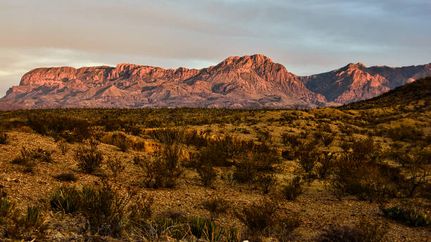 Timberland Property for sale in Presidio County, Texas