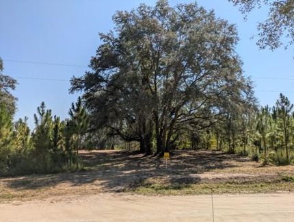 Land for sale in Columbia County, Florida