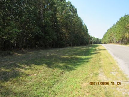 Land for sale in Winston County, Alabama