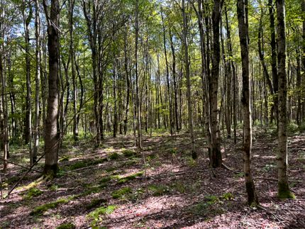Hunting Property for sale in Chenango County, New York