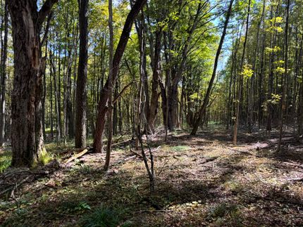 Homesite for sale in Chenango County, New York