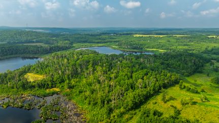 Land for sale in Bottineau County, North Dakota