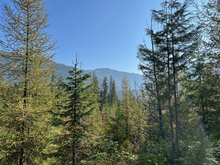 Timberland Property for sale in Bonner County, Idaho