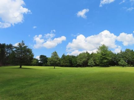 Undeveloped Land for sale in Fairfield County, South Carolina