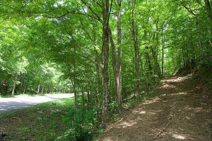 Farm and Ranch for sale in Marion County, Alabama