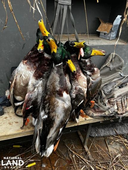 House for sale in Lonoke County, Arkansas