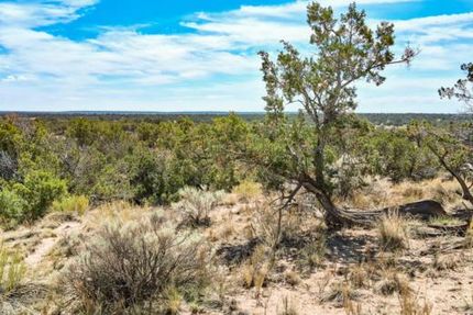 Undeveloped Land for sale in Apache County, Arizona