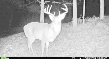 Land in Owen County, Kentucky