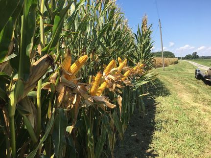 Recreational Property for sale in Macoupin County, Illinois