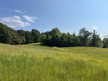 Timberland Property for sale in Hancock County, Kentucky