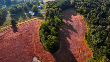 Farm and Ranch for sale in Vermillion County, Indiana