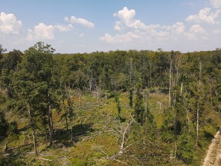 Timberland Property for sale in Drew County, Arkansas