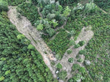 Farm and Ranch for sale in Washington Parish, Louisiana