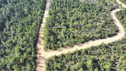 Timberland Property for sale in Jackson County, Florida