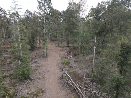 Undeveloped Land for sale in Drew County, Arkansas