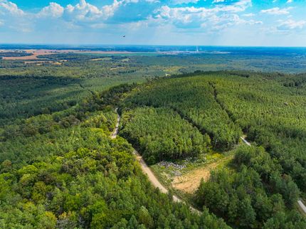 Timberland Property for sale in Livingston County, Kentucky