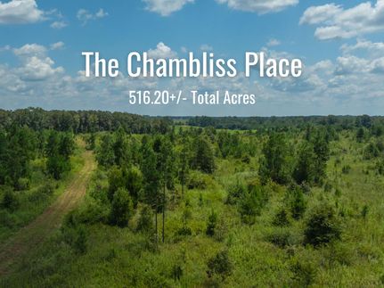Undeveloped Land for sale in Terrell County, Georgia