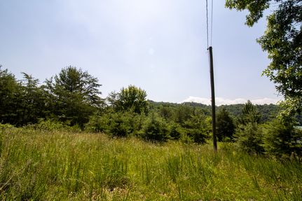 Recreational Property for sale in Washington County, Virginia