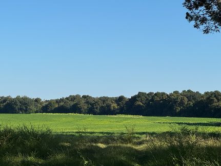 Land for sale in Baker County, Georgia