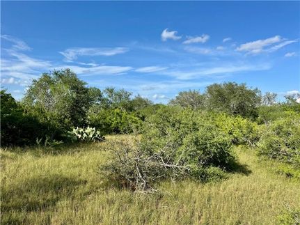 Recreational Property for sale in Bee County, Texas
