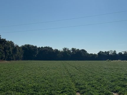 Farm and Ranch for sale in Baker County, Georgia