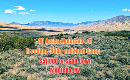 Undeveloped Land for sale in Elko County, Nevada