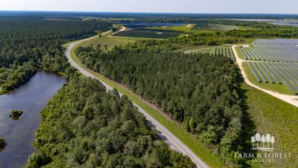 Undeveloped Land for sale in Walton County, Florida
