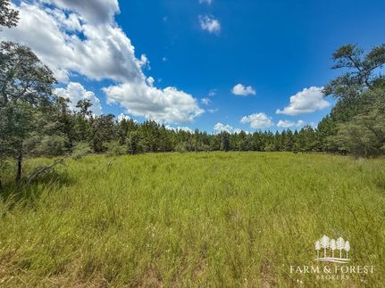 Farm and Ranch for sale in Holmes County, Florida