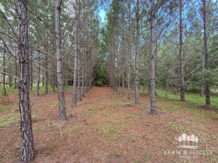 Commercial Property for sale in Holmes County, Florida